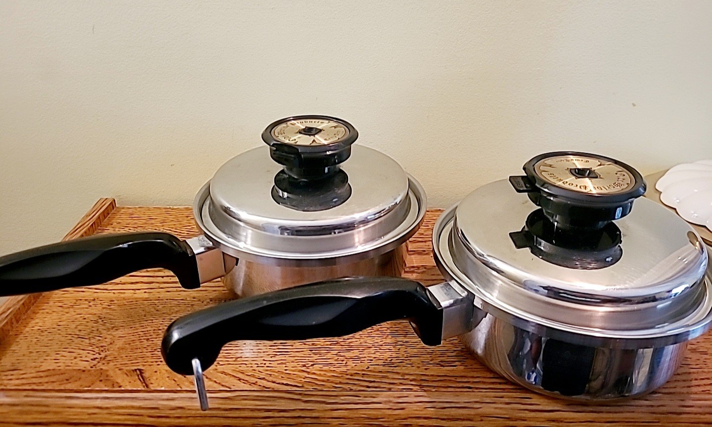 Olde Worlde Thermium Multi-Plex Stainless Steel Saucepan & Lid 1 Quart Set