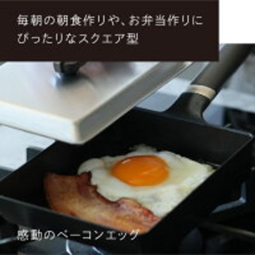 Vermicular Cast Iron Enamel Frying Pan Egg & Toast Pan FPET-WN Metal Japan