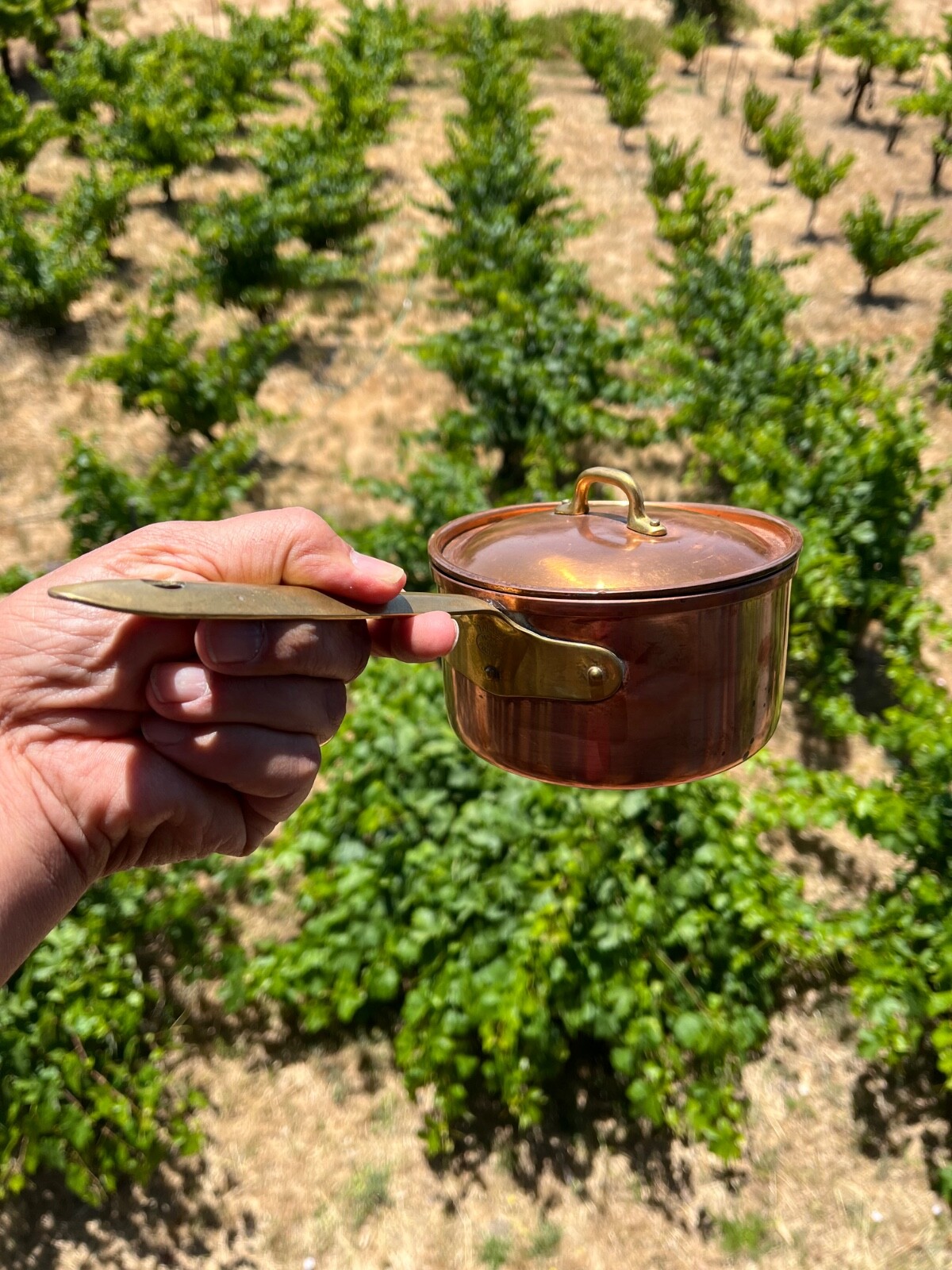 Tagus Portugal Saucepan 5.5X3”