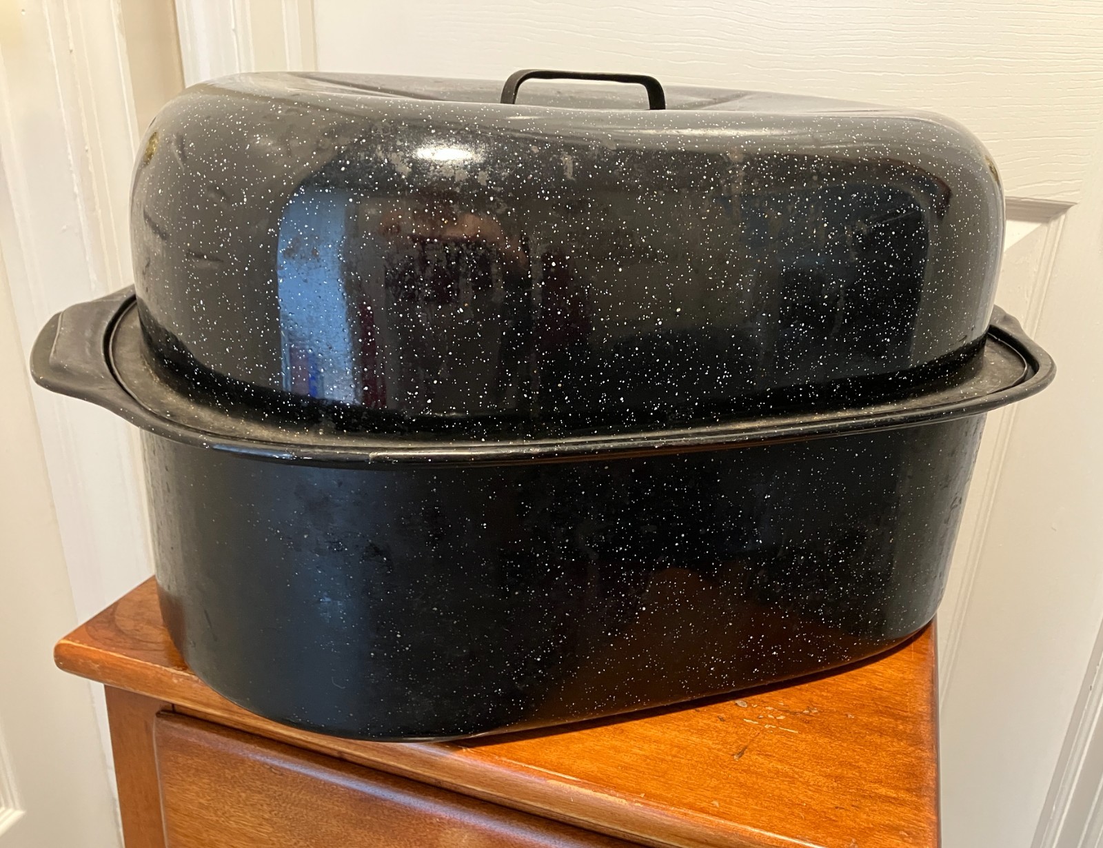 Enameled Granite Oval Roasting Pan with Domed Lid 20.5 x 14 x 10