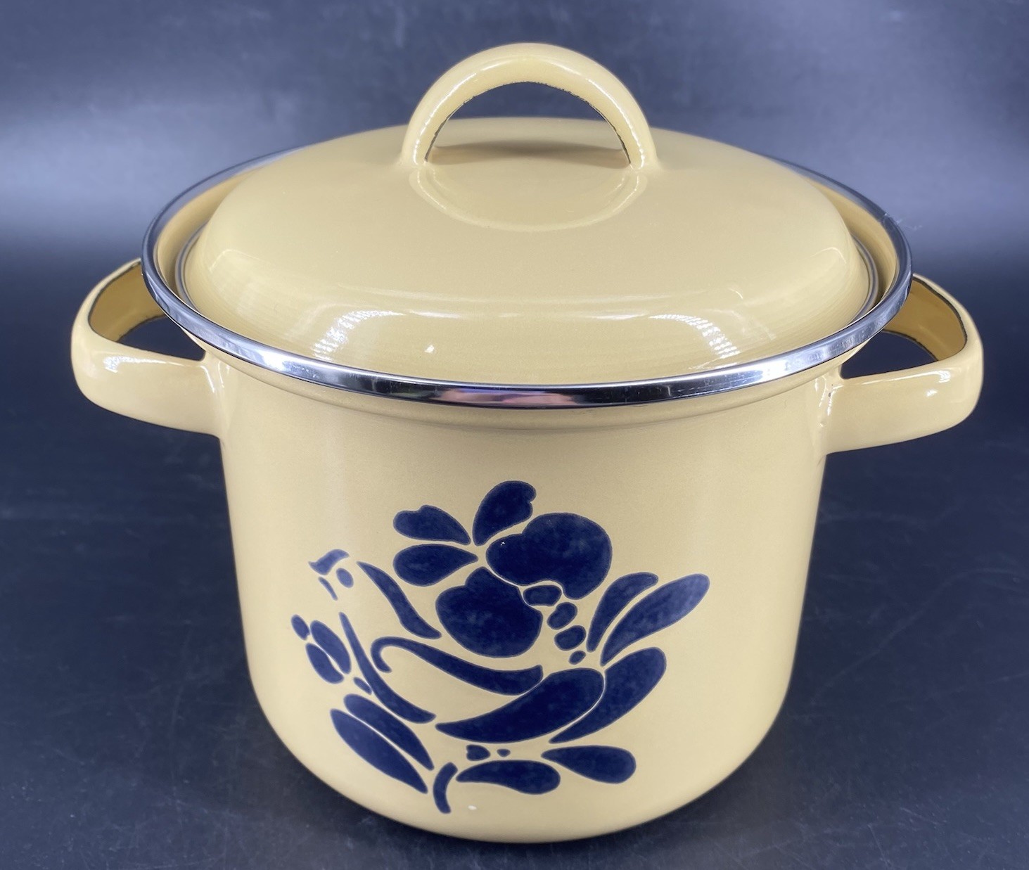 Vtg 80s Pfaltzgraff Folk Art Stock Pot Metal Bird Double Handle Enamel 1.75 Qt