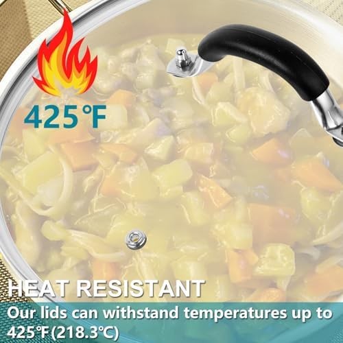 12 Inch Pan Lid – Glass Lid with Stainless Steel Handle for Frying Pan and Pots