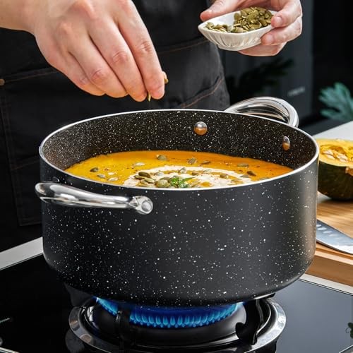 Large 8 Quart Nonstick Stock Pot with Lid, Induction Cooking Pot 8qt/10.2in