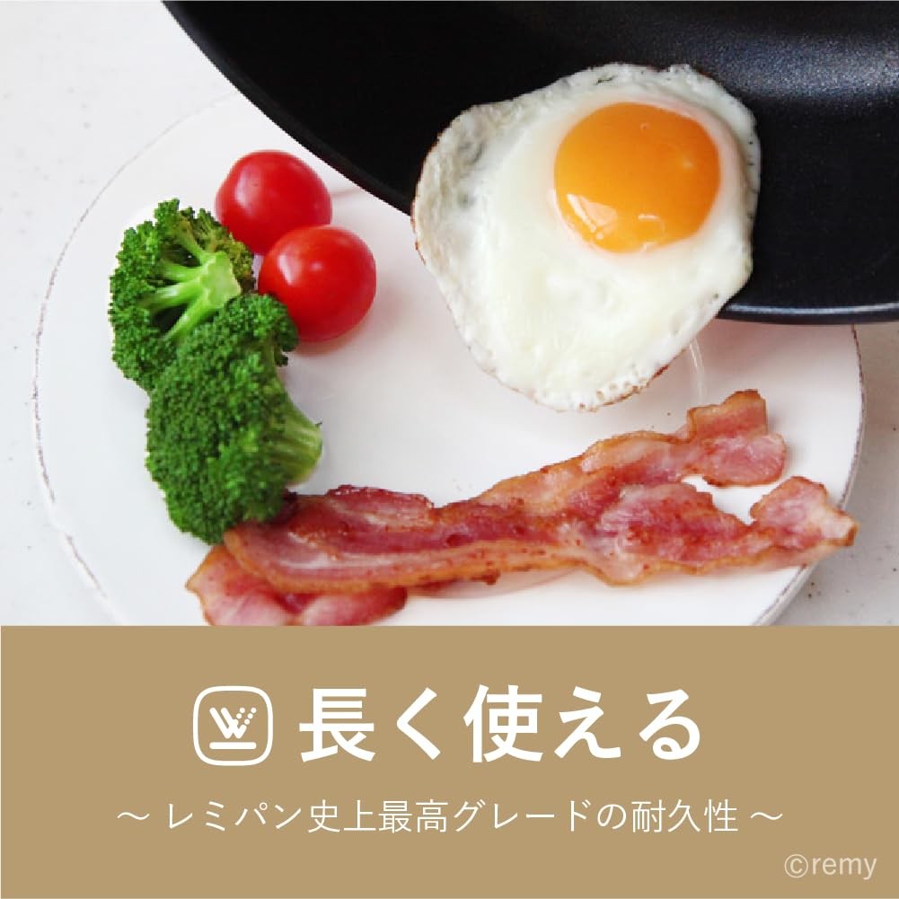 Remy RemyPan Plus 24cm Deep Frying Pan Black + Spatula Lid IH Gas Japan