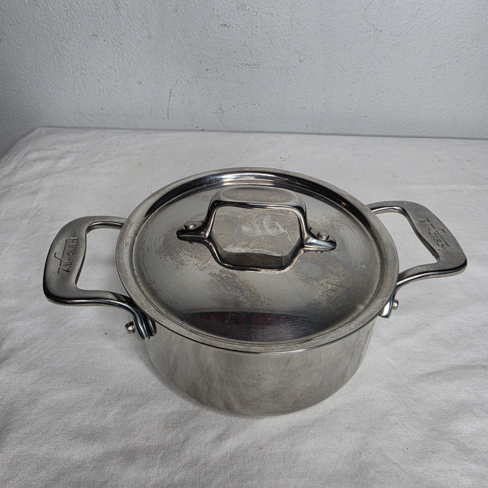 All-Clad Stainless Steel 1/2 Quart Cocotte Mini Pot with Lid Mini Dutch Oven