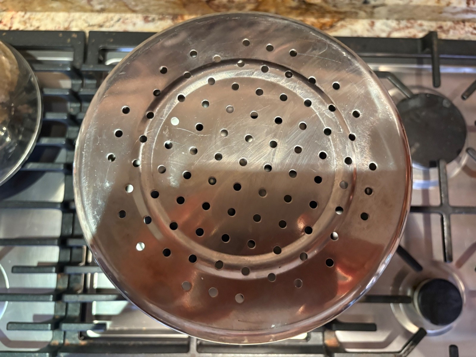 Williams Sonoma Pasta Insert Steamer 7 3/4″ x 9 3/4″ x 8″