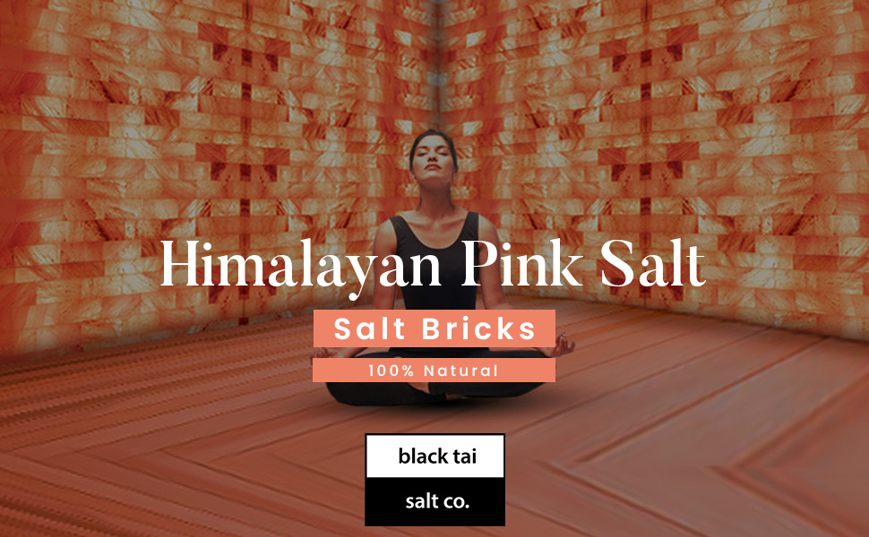Foot Detox HIMALAYAN SALT SLAB 4″ x 8″ x 2″ SET OF 2 New Free Fast Shipping