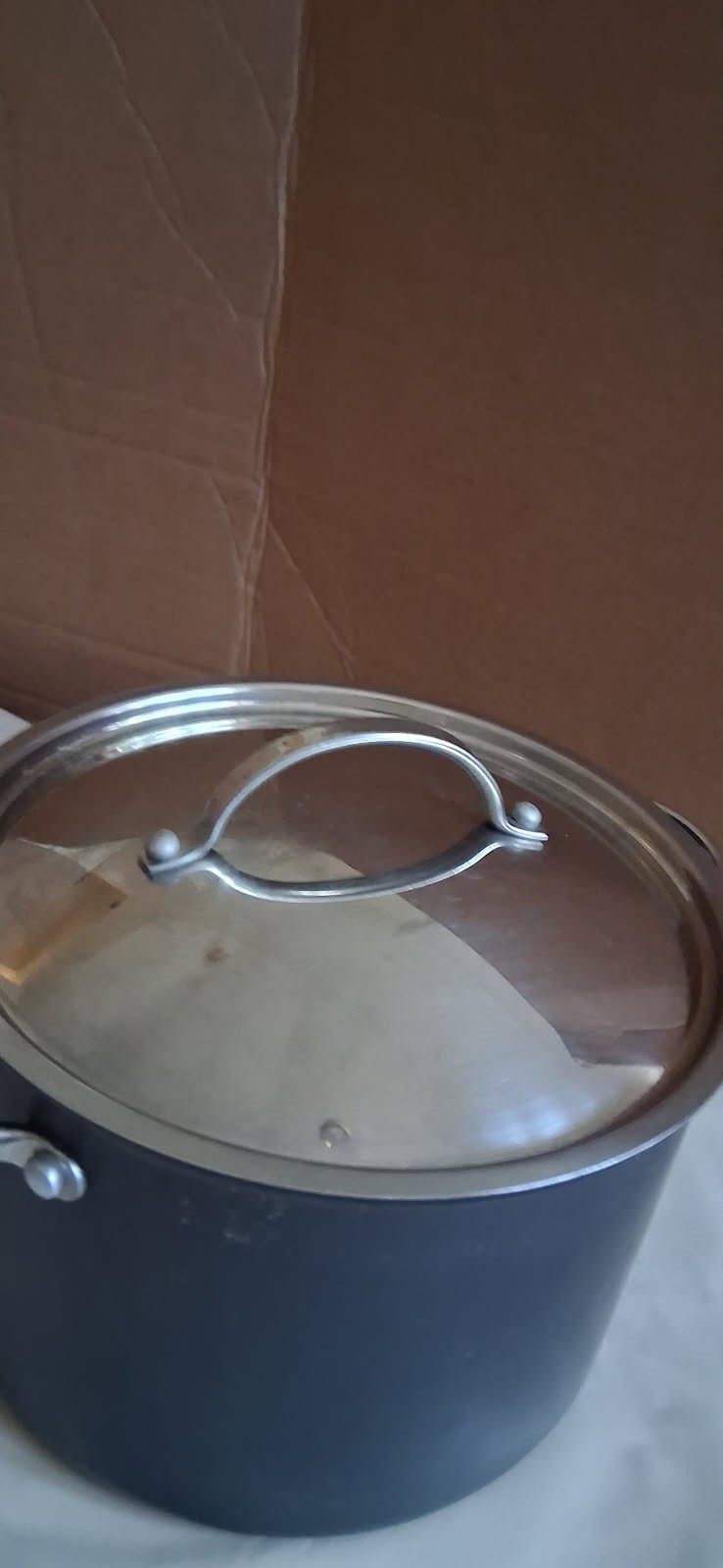 Kirkland Signature Professional Quality Nonstick Stockpot 8 QT 7.5L 000017 W/Lid