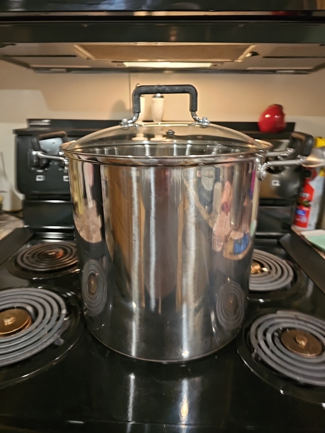 Technique 18qt Stock Pot Stainless Steel Tempered Glass Lid Good Condition.