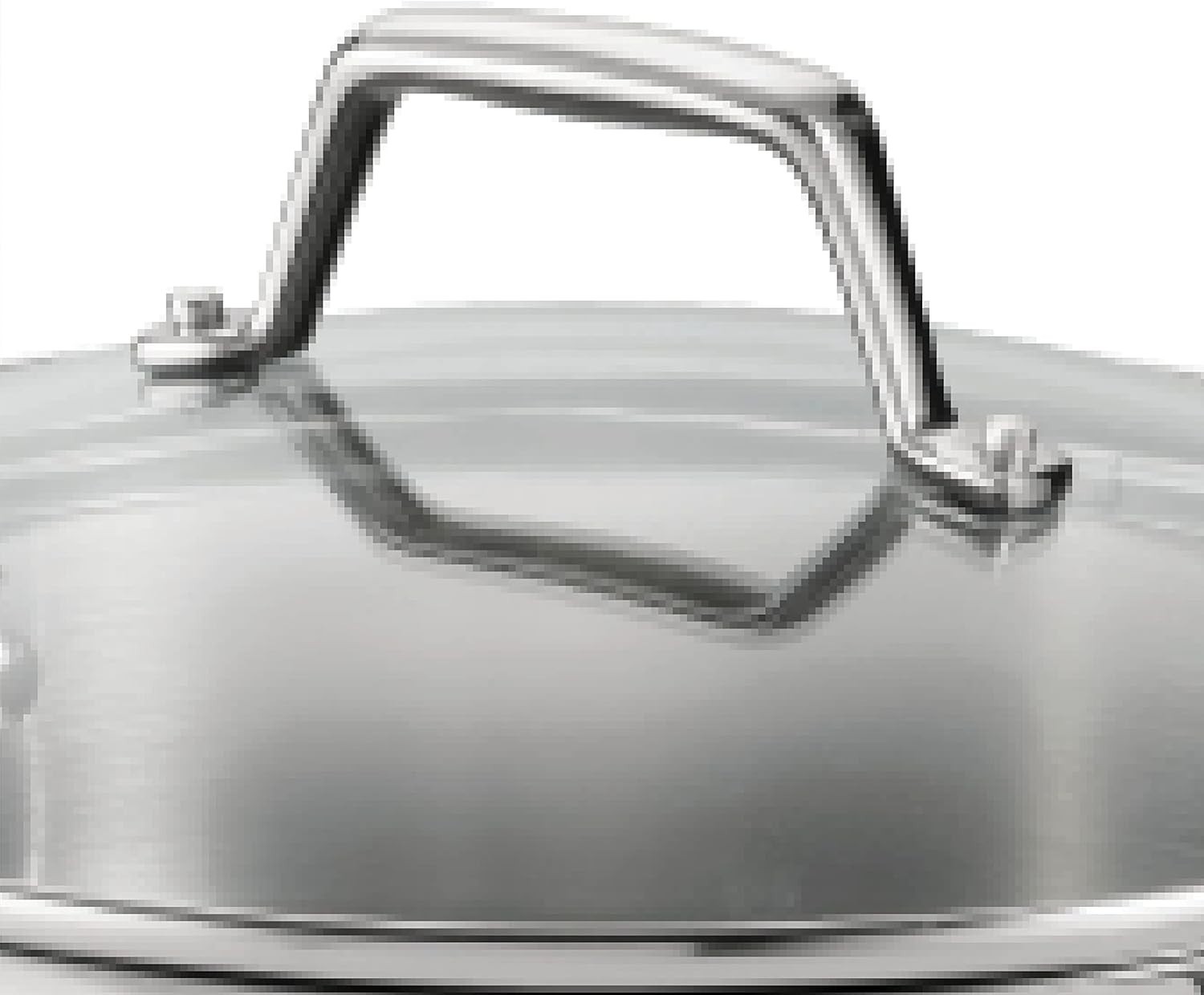 5-quart stainless steel steamer set dutch oven with steamer insert glass lid