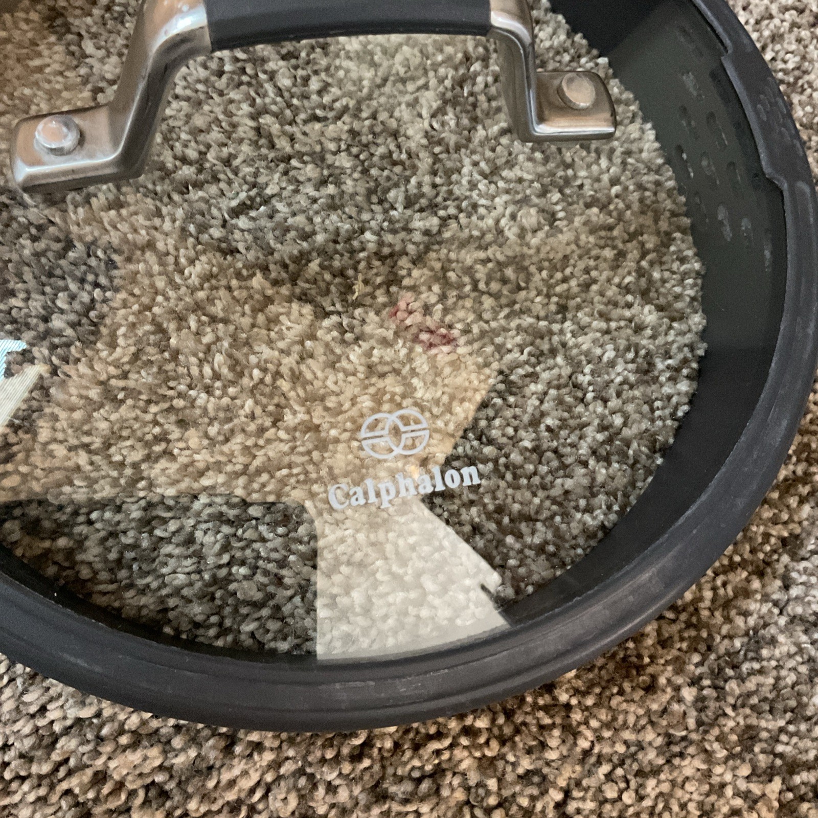 Calphalon Replacement Glass Silicone Strainer Lid 8”