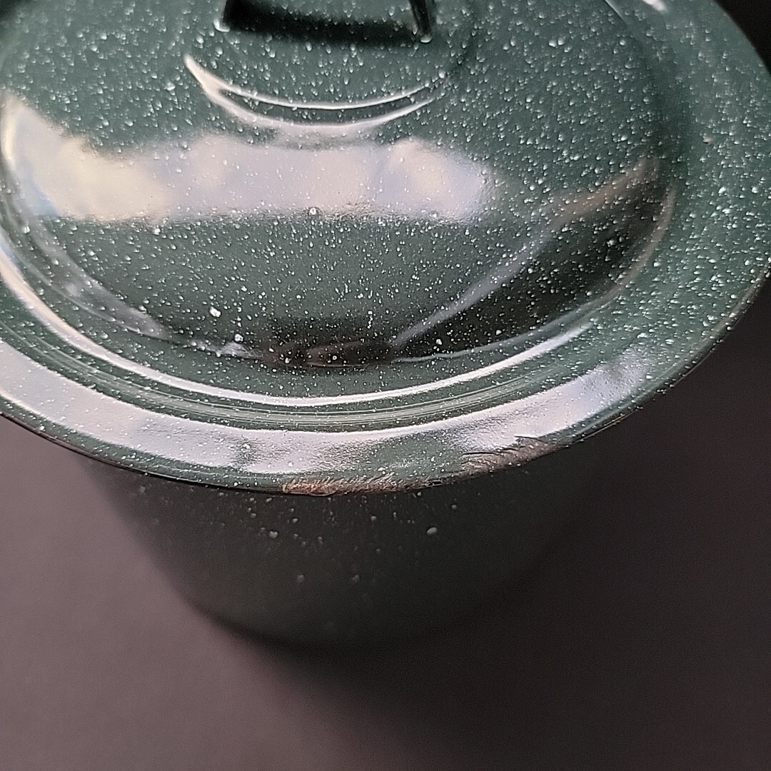 Green Enamelware MCM Speckled Stockpot Cookware with Lid 5 Pc (distressed) rare