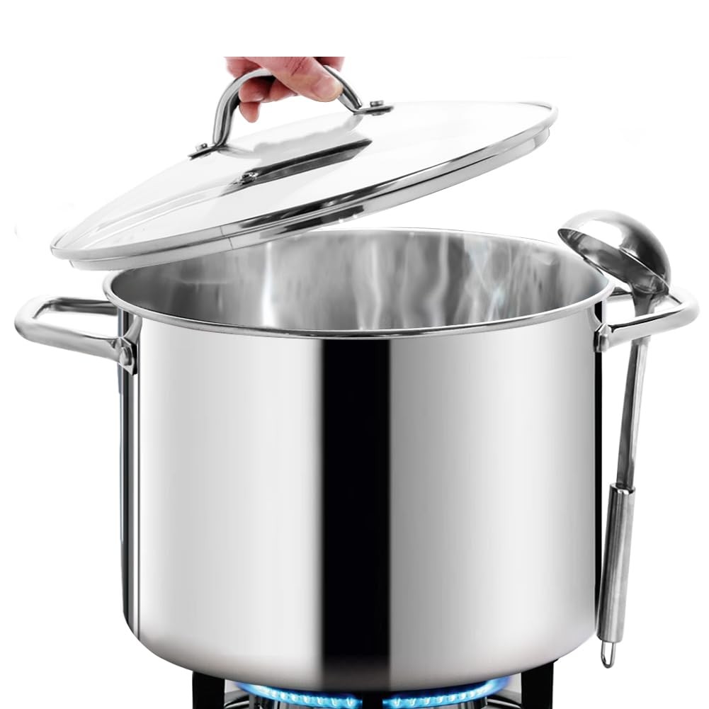 Homichef 12 Large Stock Pot Glass Lid – Steel Healthy Cookware