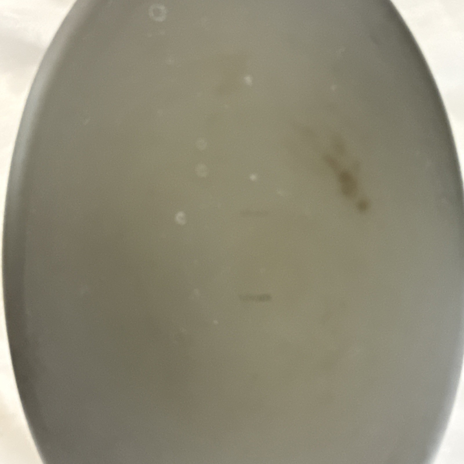 RACHAEL RAY Anodized Non Stick Oval Saute Pan w/Lid Orange Handle 13.5” x 9” x 3