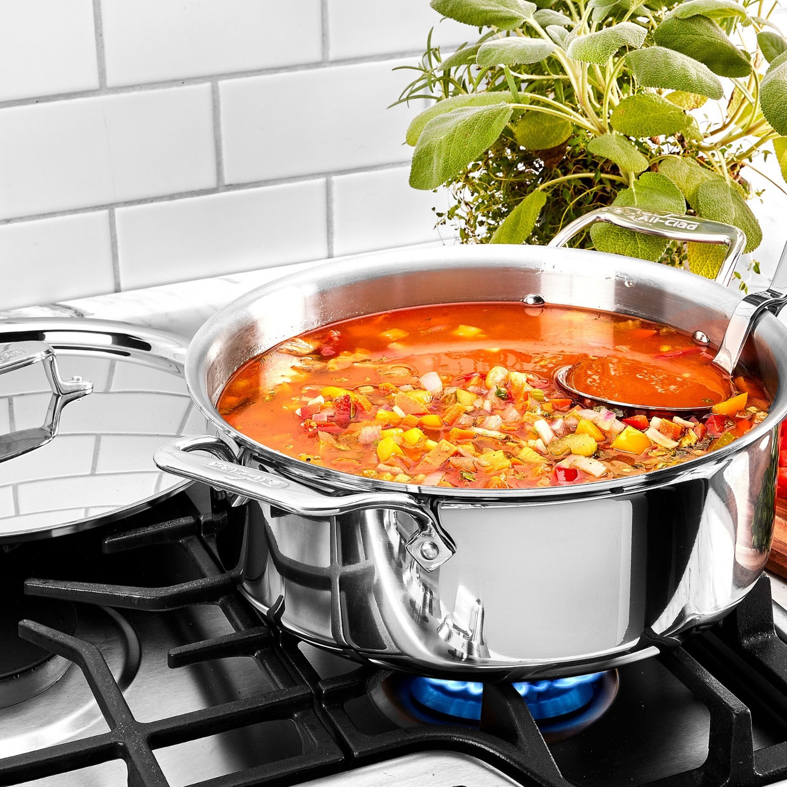 All-Clad D5 Stainless-Steel Ultimate Soup Pot with Ladle, 6-Qt