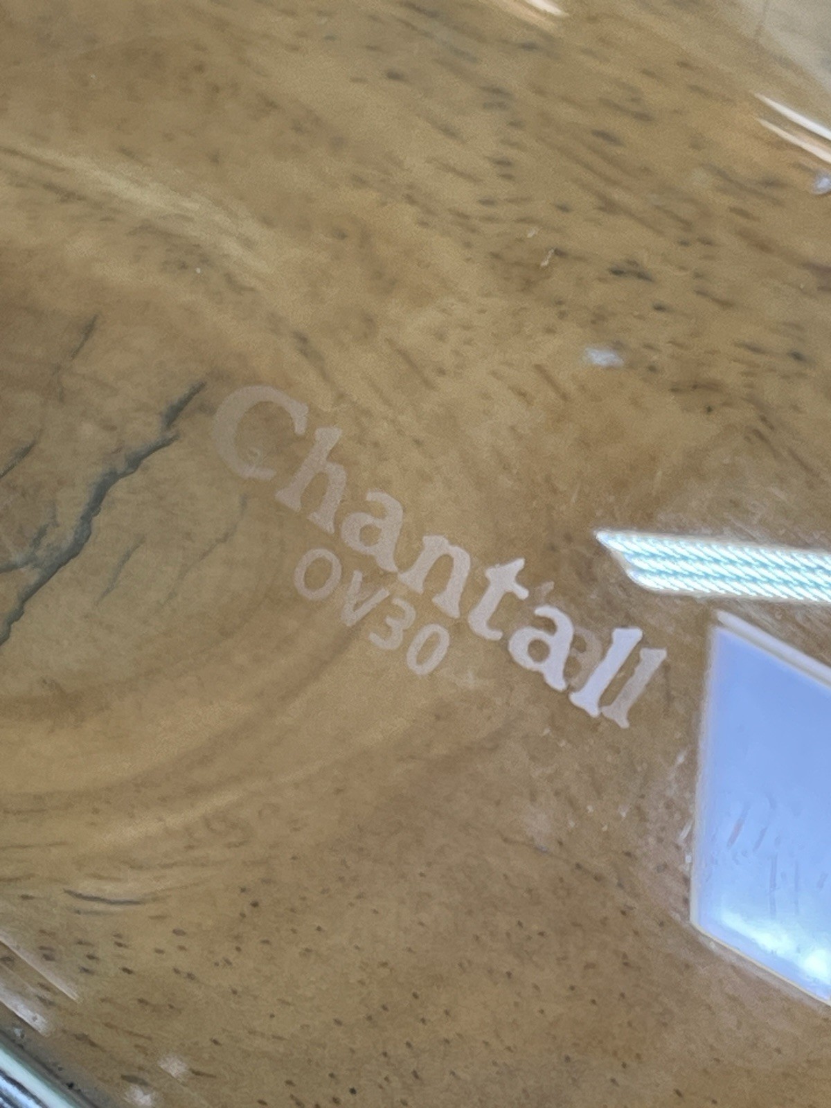 Chantal Enamel On Steel Roaster Pan Dutch Oven Oval Dome with Glass Lid OV30