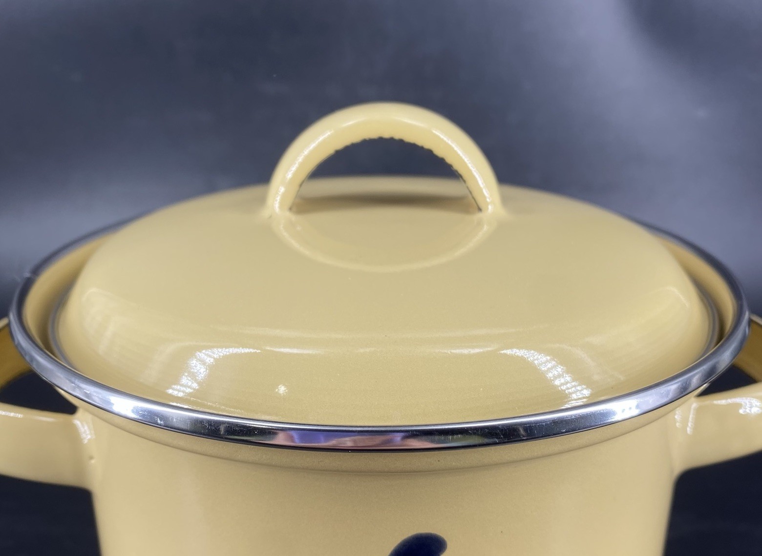 Vtg 80s Pfaltzgraff Folk Art Stock Pot Metal Bird Double Handle Enamel 1.75 Qt
