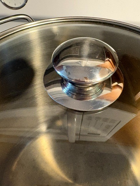 Williams Sonoma Kim/Korea 12 Quart Stainless Steel Pot 18/10 with Lid