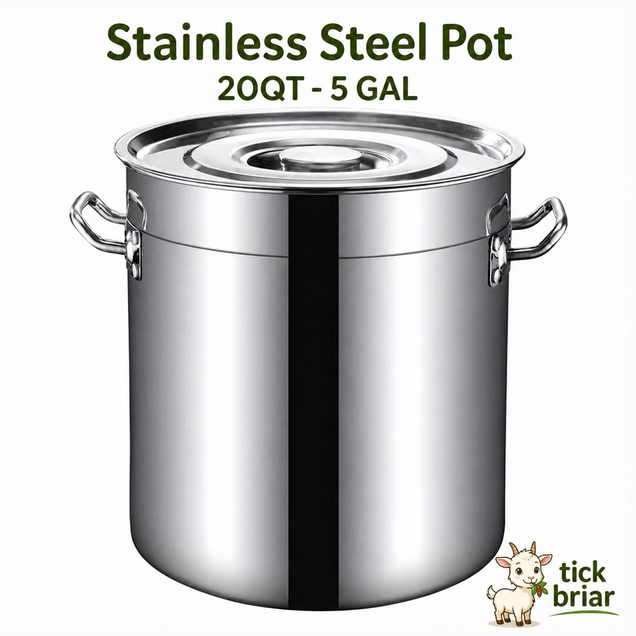 20 qt stainless steel pot