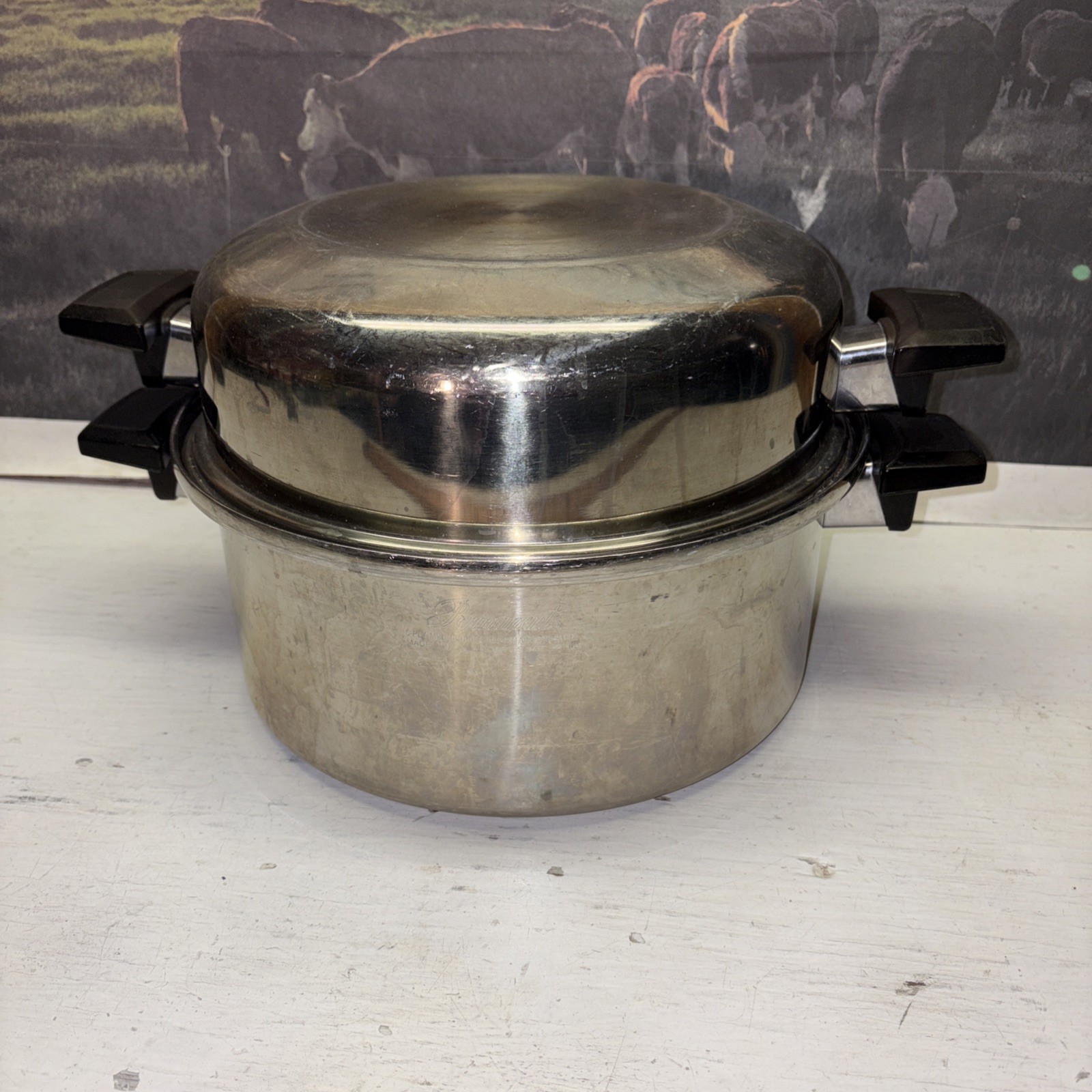 Deluxe Permanent Stainless Multi Core 6 Qt. Stock Pot & Dome Lid 5 Ply