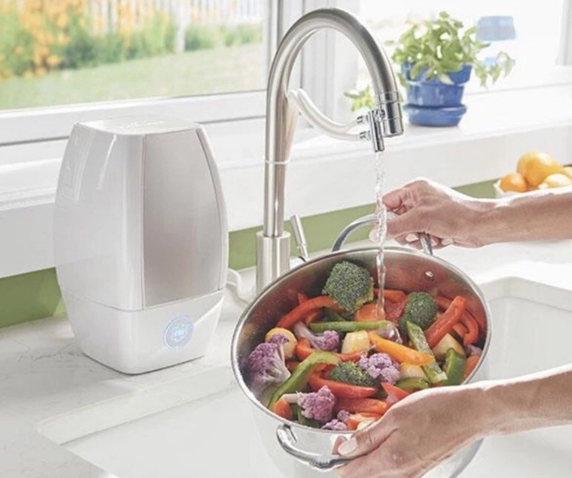 Princess House Vida Sana Water Filtration System Refresh