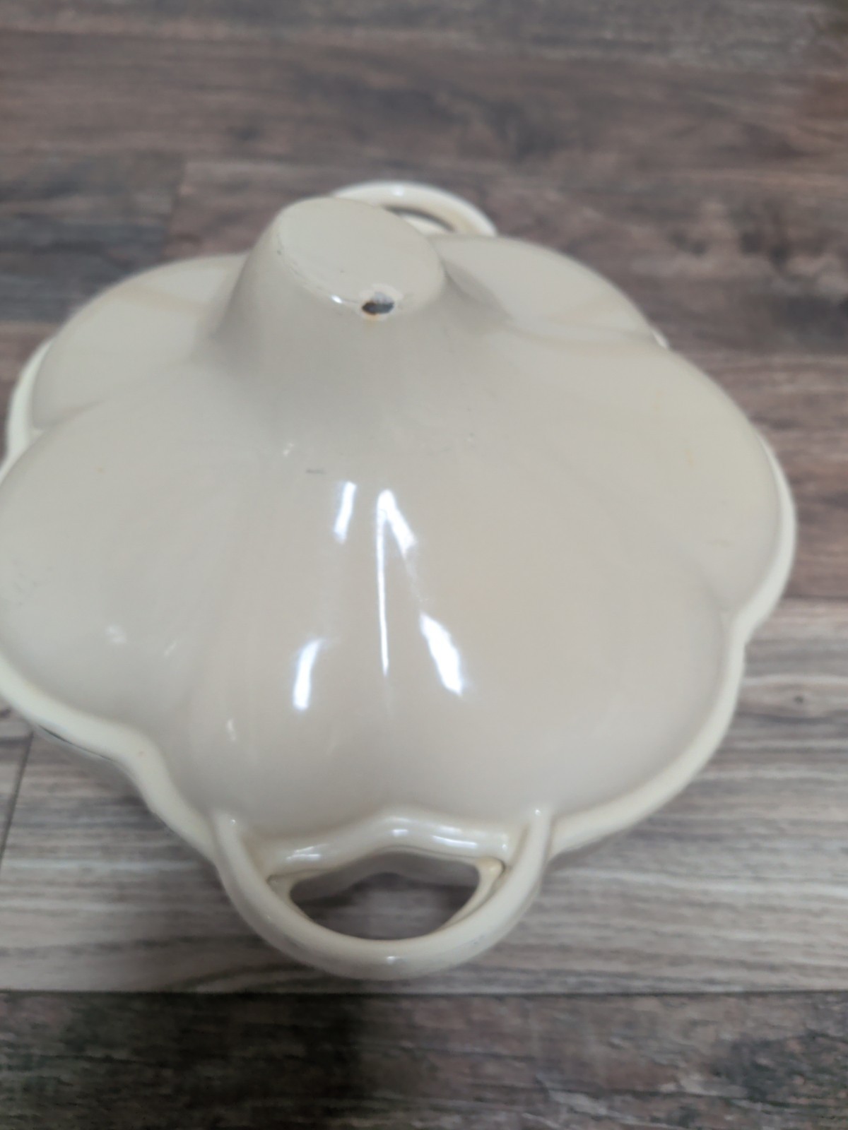 Techniques Garlic Clove Cast Iron Dutch Oven with Lid