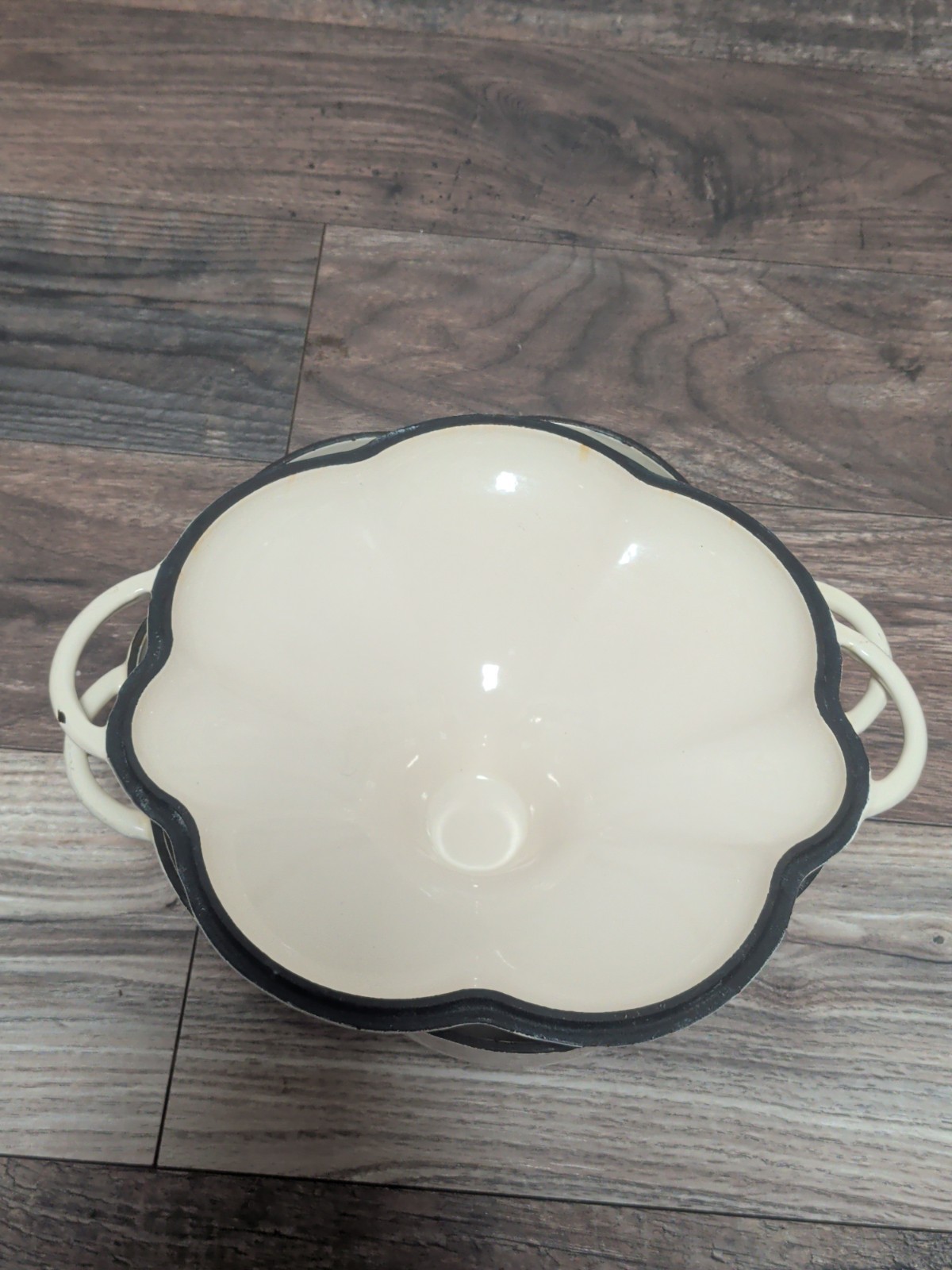 Techniques Garlic Clove Cast Iron Dutch Oven with Lid