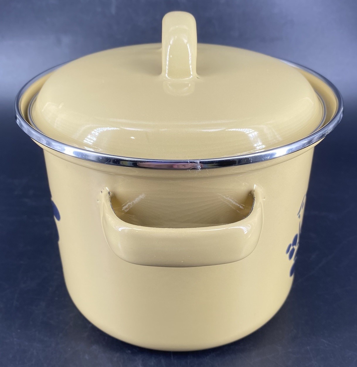 Vtg 80s Pfaltzgraff Folk Art Stock Pot Metal Bird Double Handle Enamel 1.75 Qt