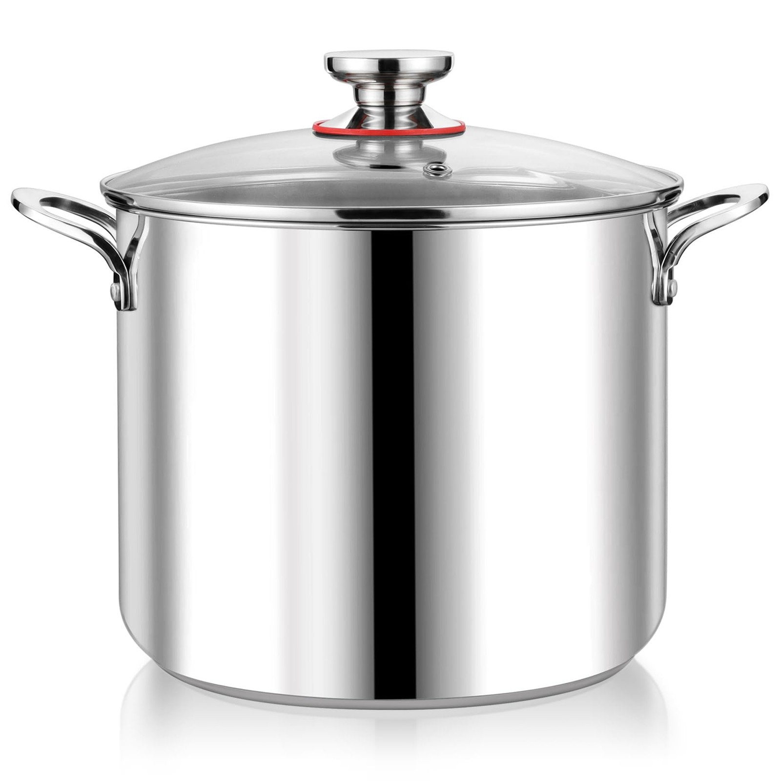 12 Quart Stainless Steel Stock Pot with Lid, Large Stockpot for Cooking Pasta…