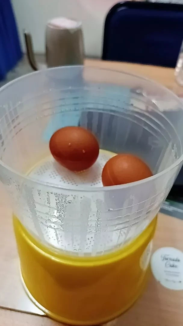 Half Boiled Egg Maker Made in Malaysia Yellow Color 1/2/3/4 eggs