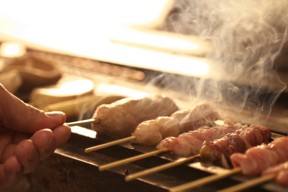 Yakitori BBQ Stainless Charcoal Griller Hibachi Conro 75 x 18cm Japan