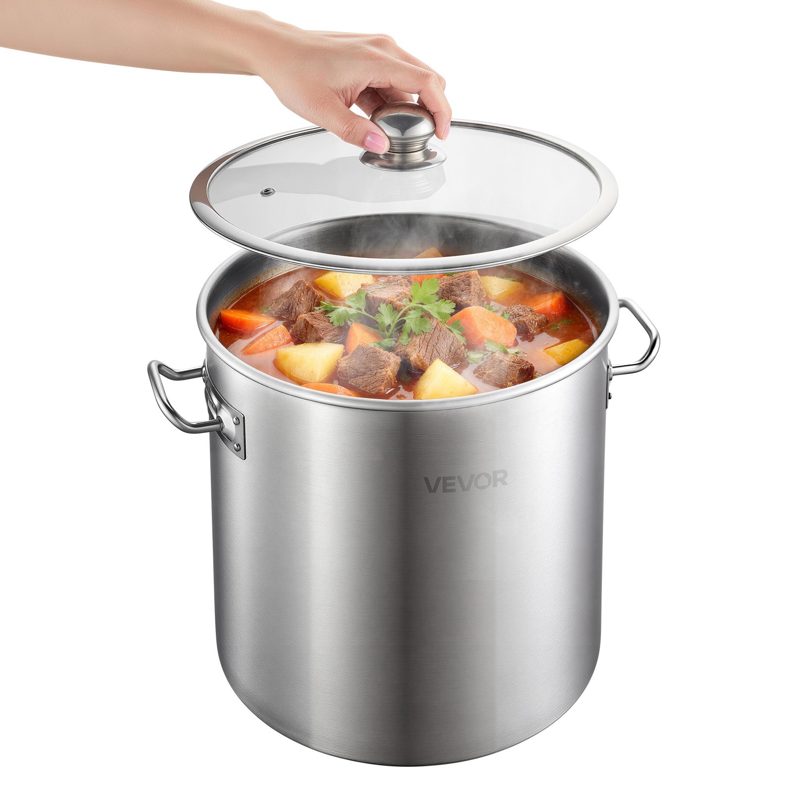 VEVOR Stainless Steel Stock Pot 21-Quart Stockpot with Glass Lid for Soups Stews