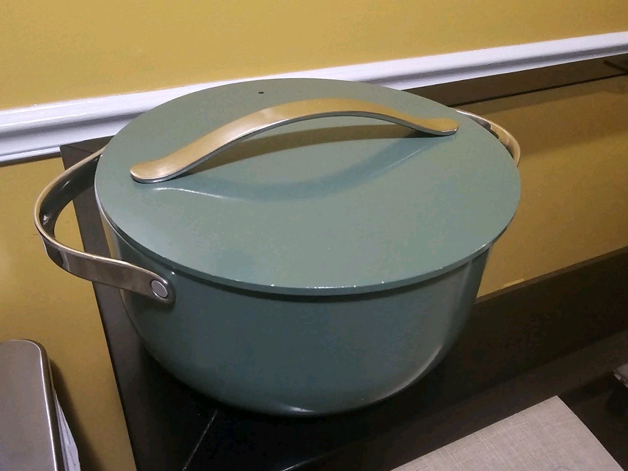 CARAWAY Nonstick Ceramic Sage Green Dutch Oven Pot 6.5 Qt Non Toxic