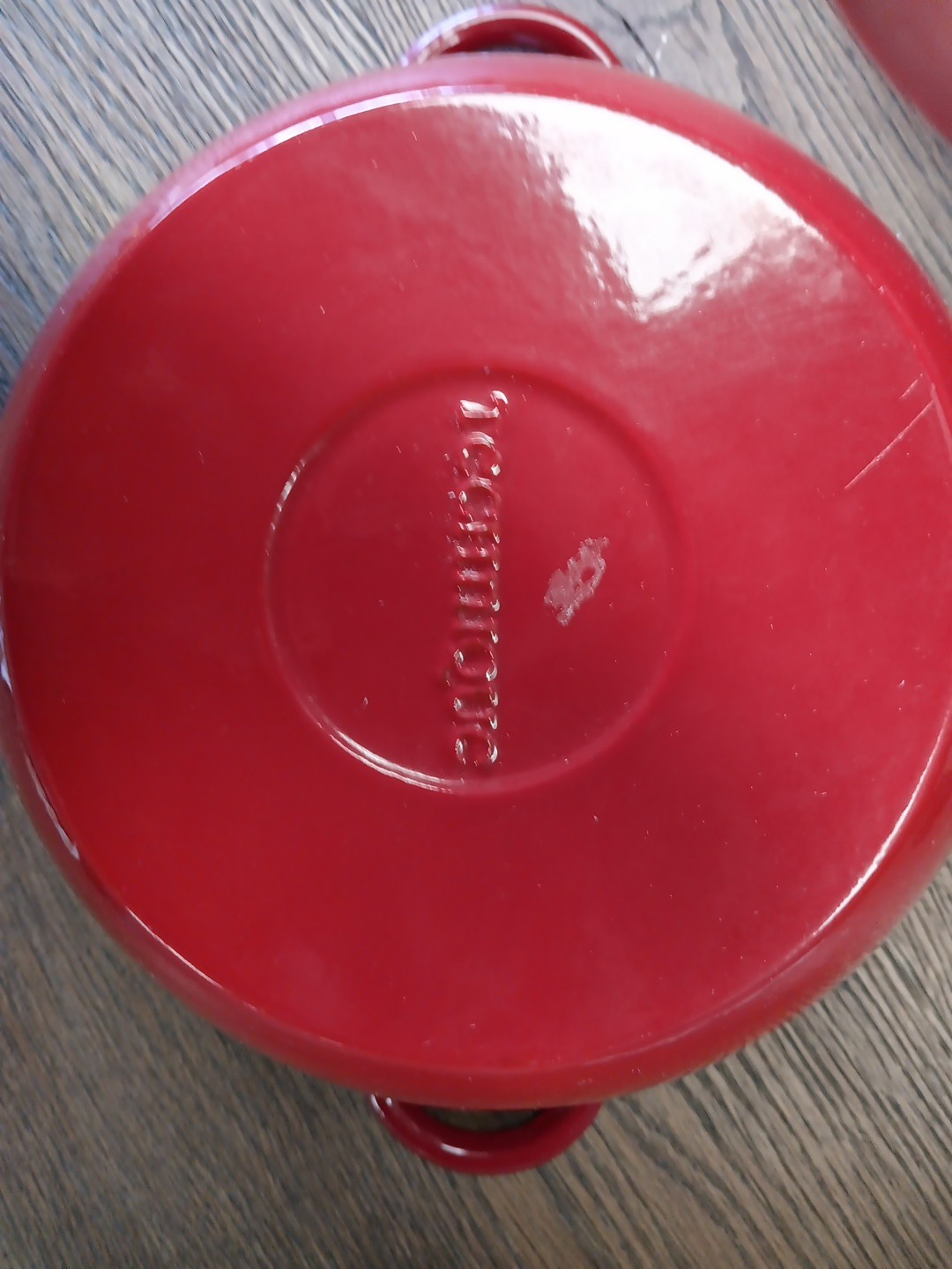 Technique Brand Cast Iron/Enamel Dutch Oven Red Tomato/Apple