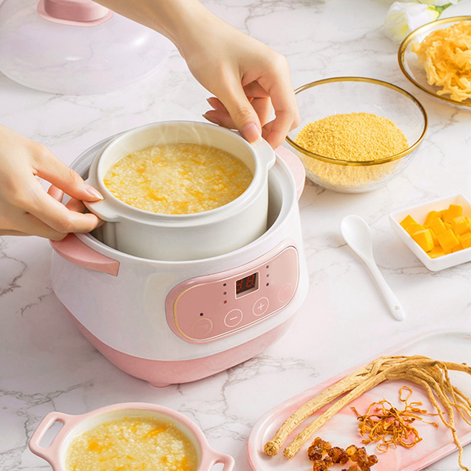 200W 1L Electric Stew Pot with Ceramic Interior Pot Slow Cooker Pot with Lid
