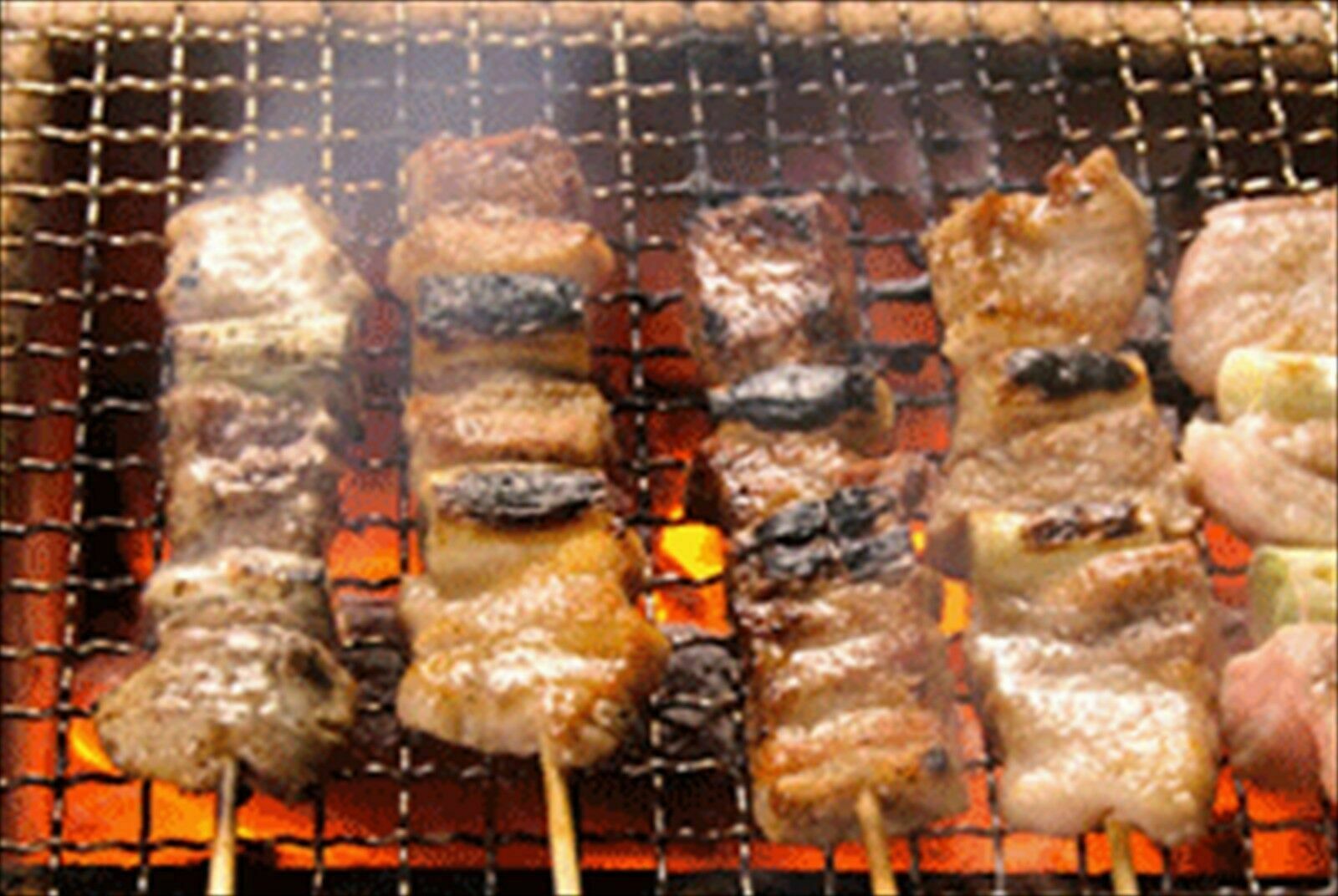 NEW Japan Yakitori BBQ Diatomite Charcoal Grill Barbecue Hibachi Konro