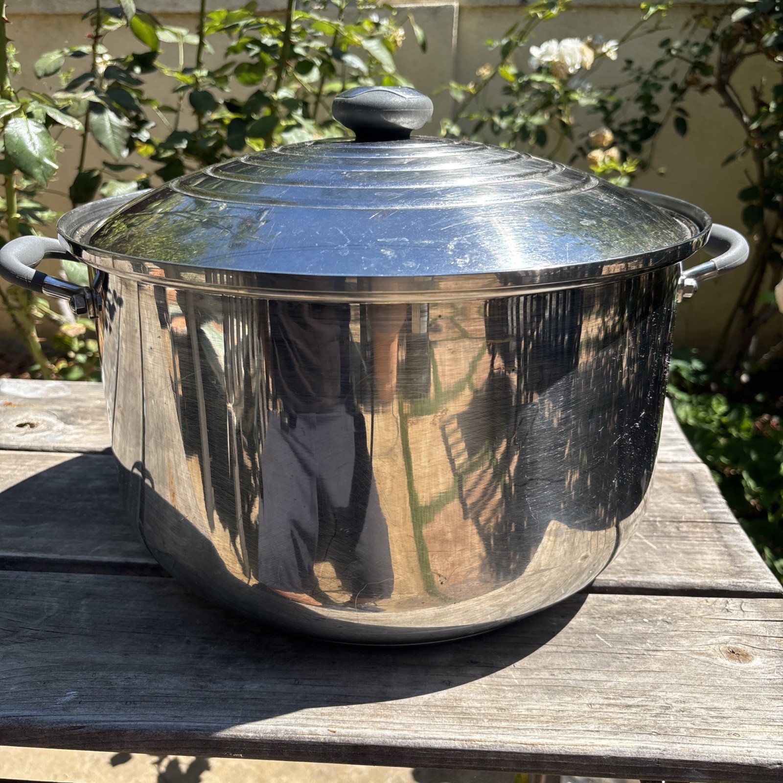 Royal Prestige 20QT 35CM Waterless Cooking T-304 SS Stock Pot Induction *Read