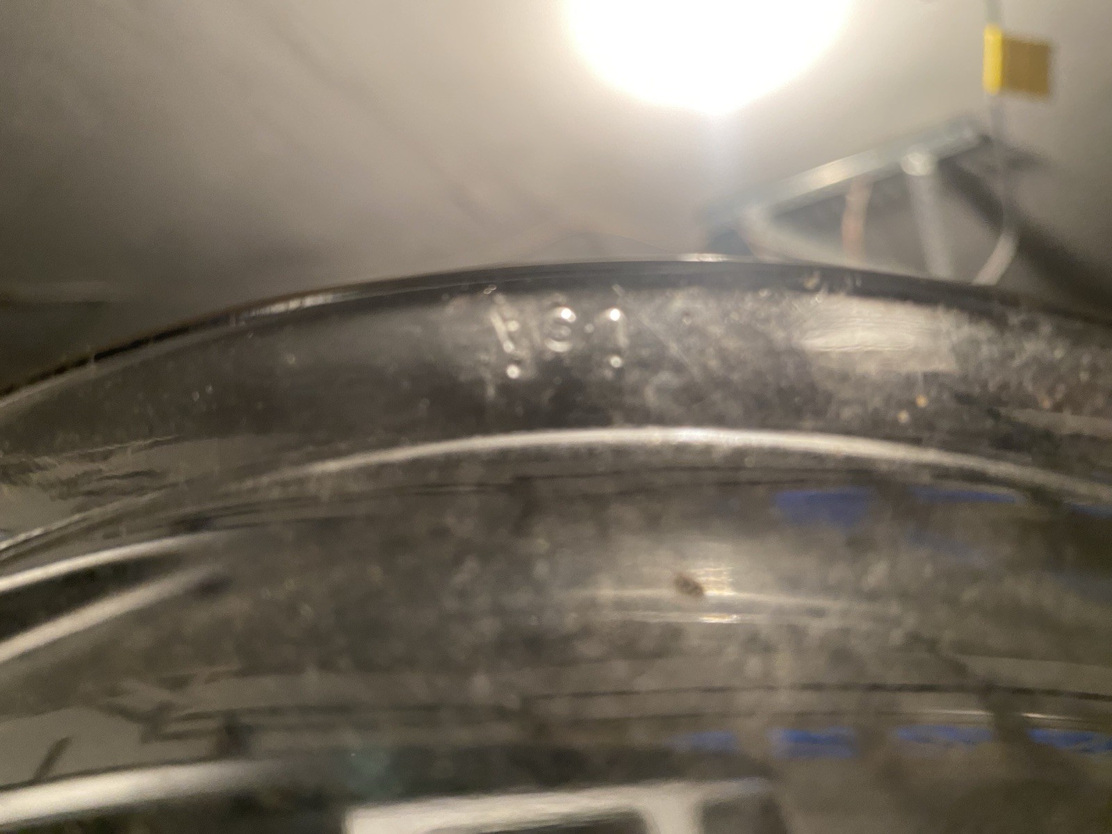 Clear Glass Lid Vintage #19 Replacement 10 inches Across & Marked USA
