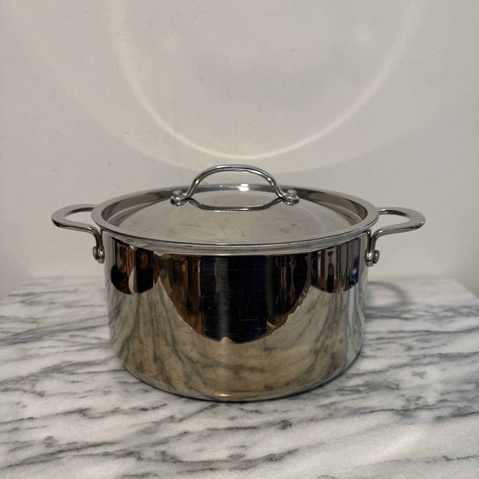 Kirkland Signature Professional Quality 8 Qt Stainless Stock Pot Made In Italy