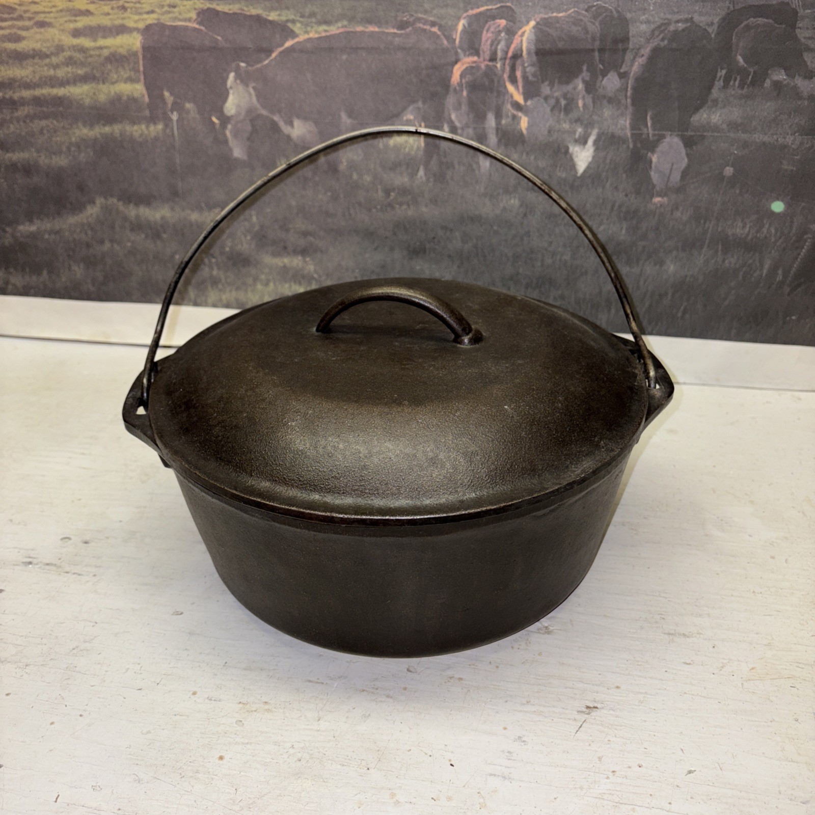 LODGE 10 1/4 #8 DO USA D3 Cast Iron Dutch Oven self basting lid 5 quart
