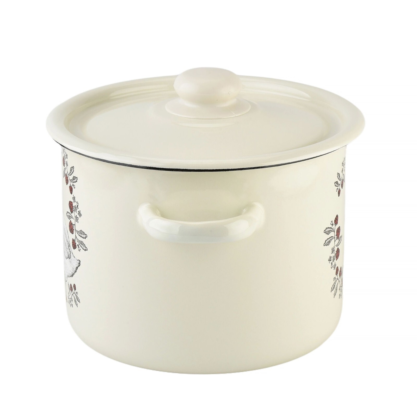 Novomoskovsk Goose Enamel Stockpot Vintage Cooking Pot Enameled Soup Pot