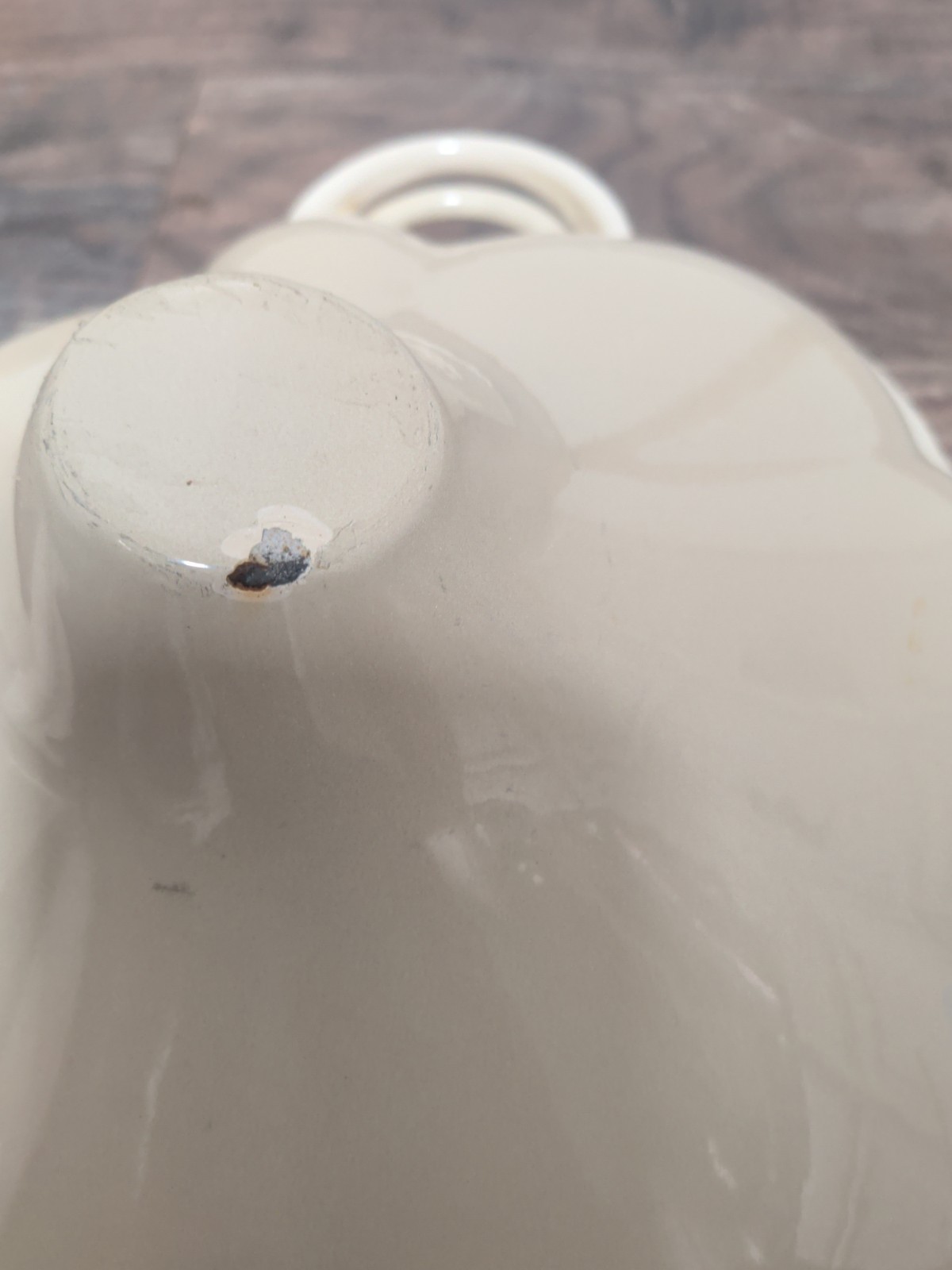 Techniques Garlic Clove Cast Iron Dutch Oven with Lid