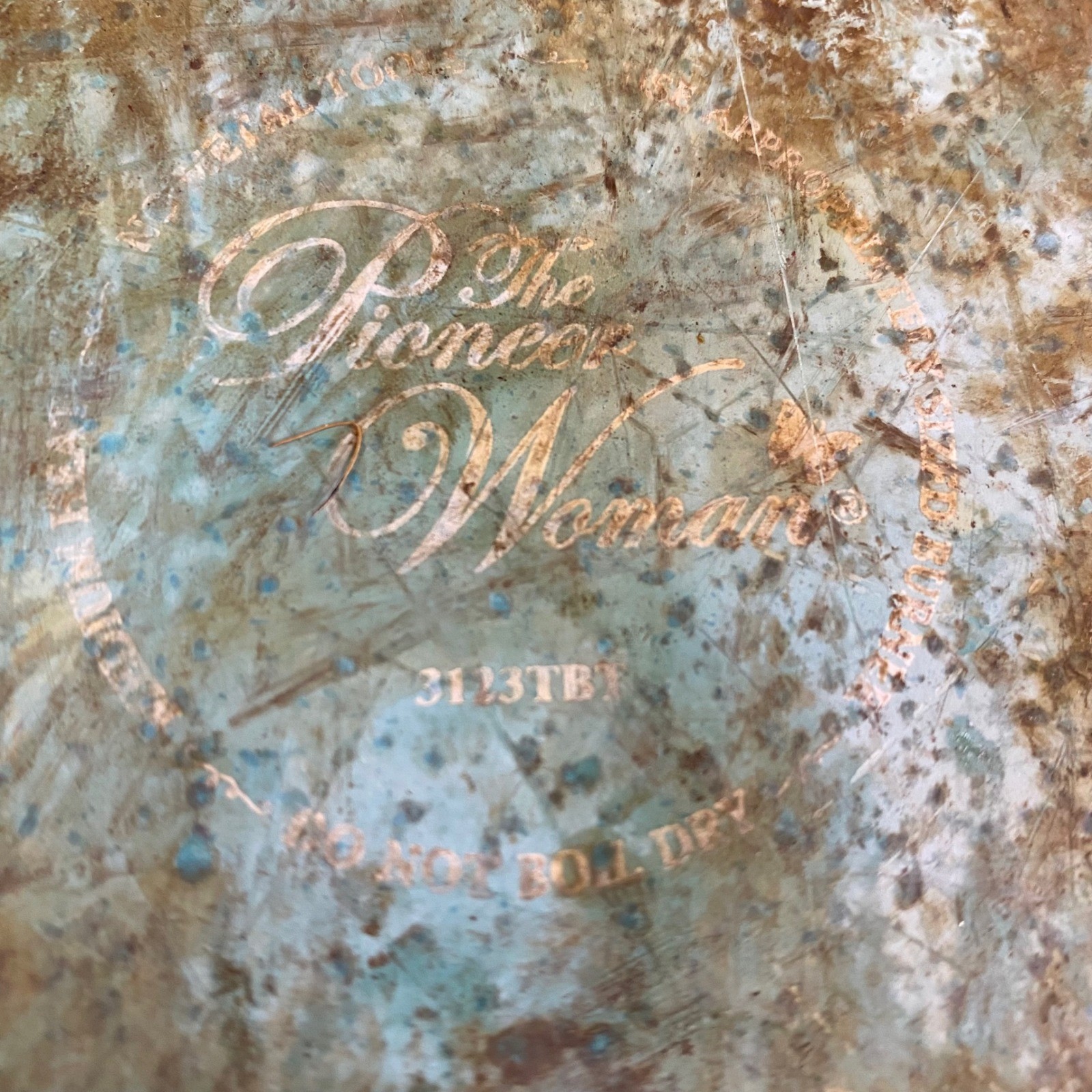 The Pioneer Woman Frontier Speckled Turquoise Pan w/ Lid Cookware Non-Stick EUC