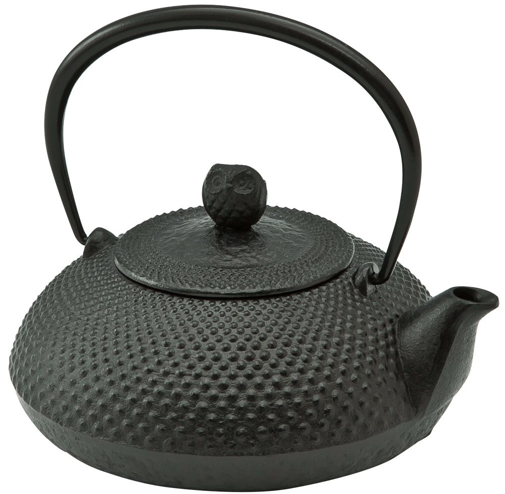 Ikenaga Iron Works Iron Kettle 0.6L Nambu Ironware Teapot Japan New