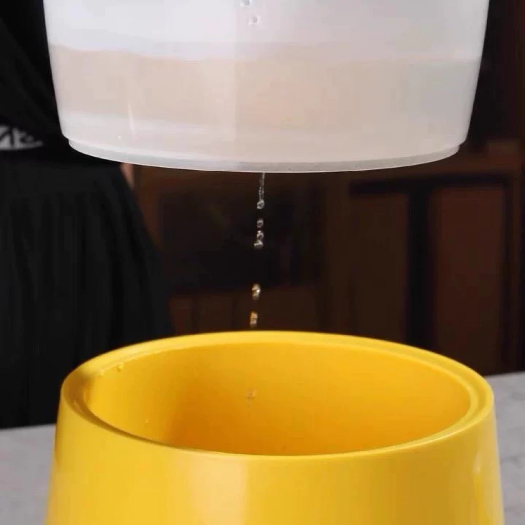 Half Boiled Egg Maker Made in Malaysia Yellow Color 1/2/3/4 eggs