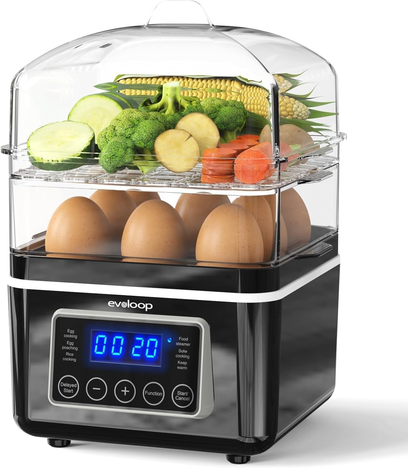2 Tiers Electric Food Steamer for Cooking, 4 QT Digital Multi Vegetable Steam…
