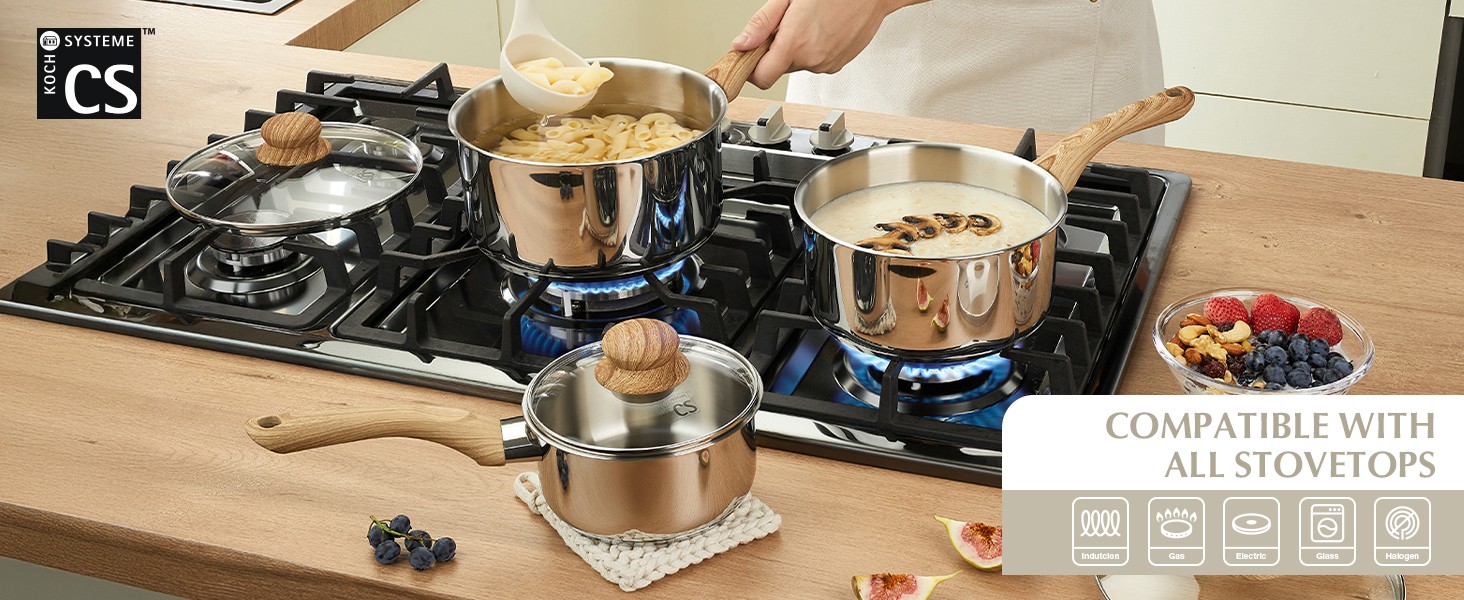 Stainless Steel Pots, 6 Piece Sauce Pan Set with Lids, 1QT, 2QT, 3QT Stainless