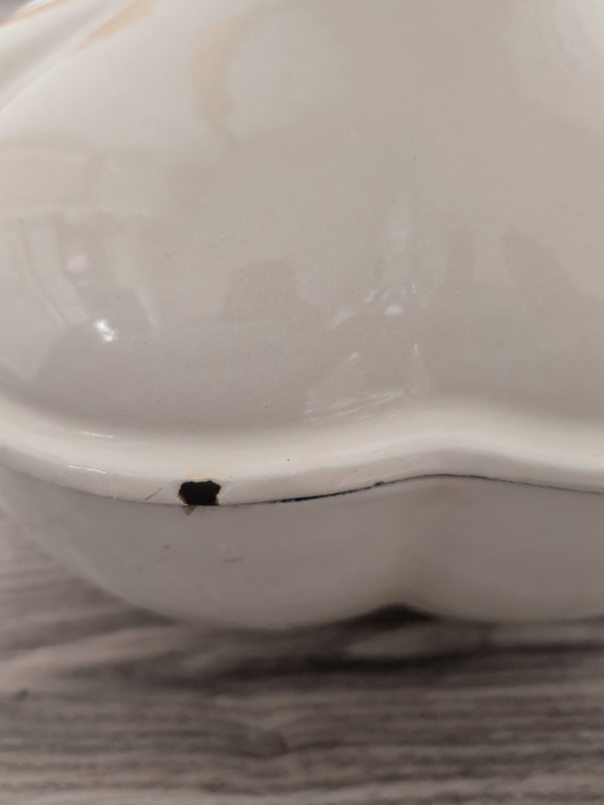 Techniques Garlic Clove Cast Iron Dutch Oven with Lid