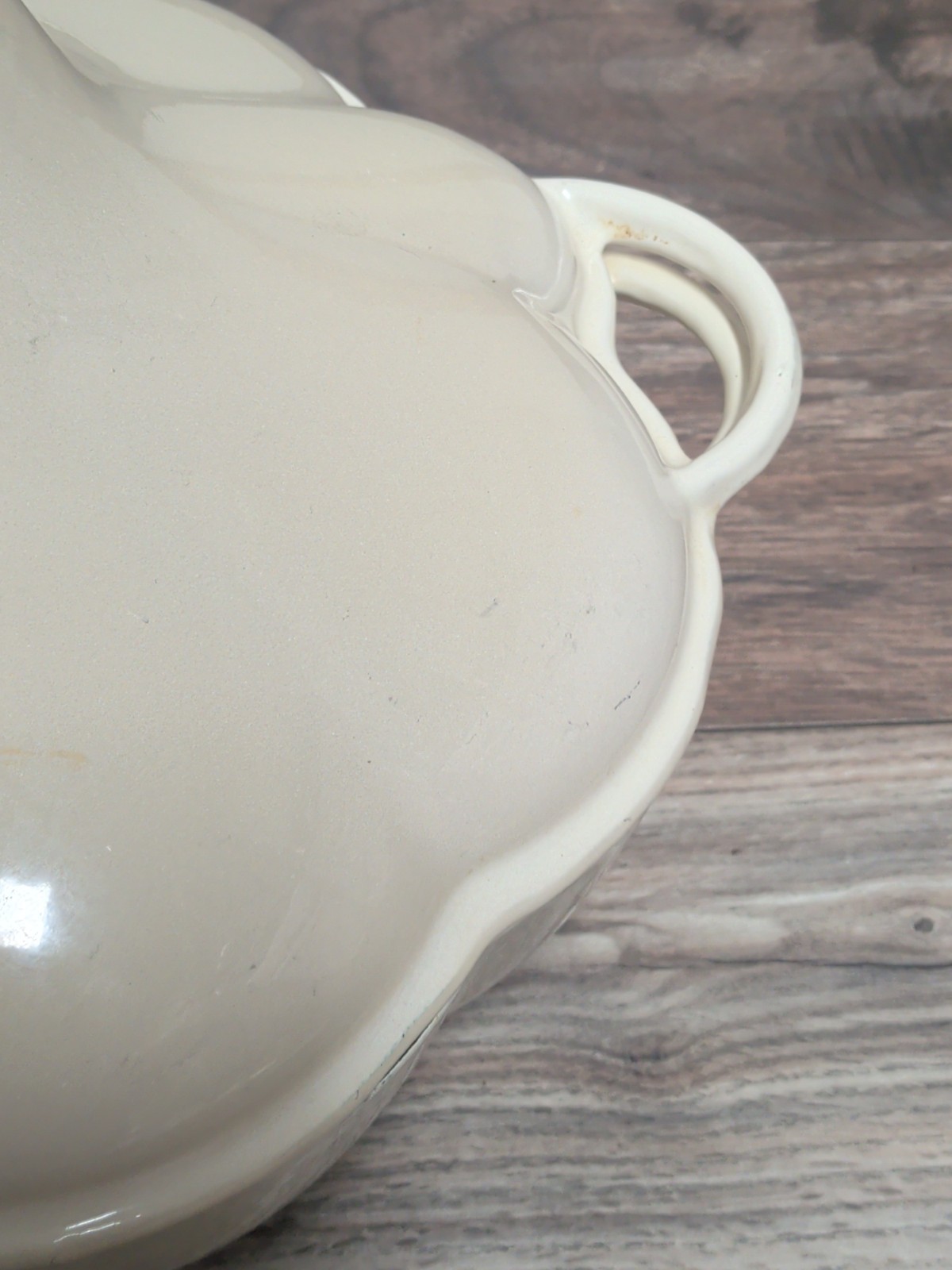 Techniques Garlic Clove Cast Iron Dutch Oven with Lid
