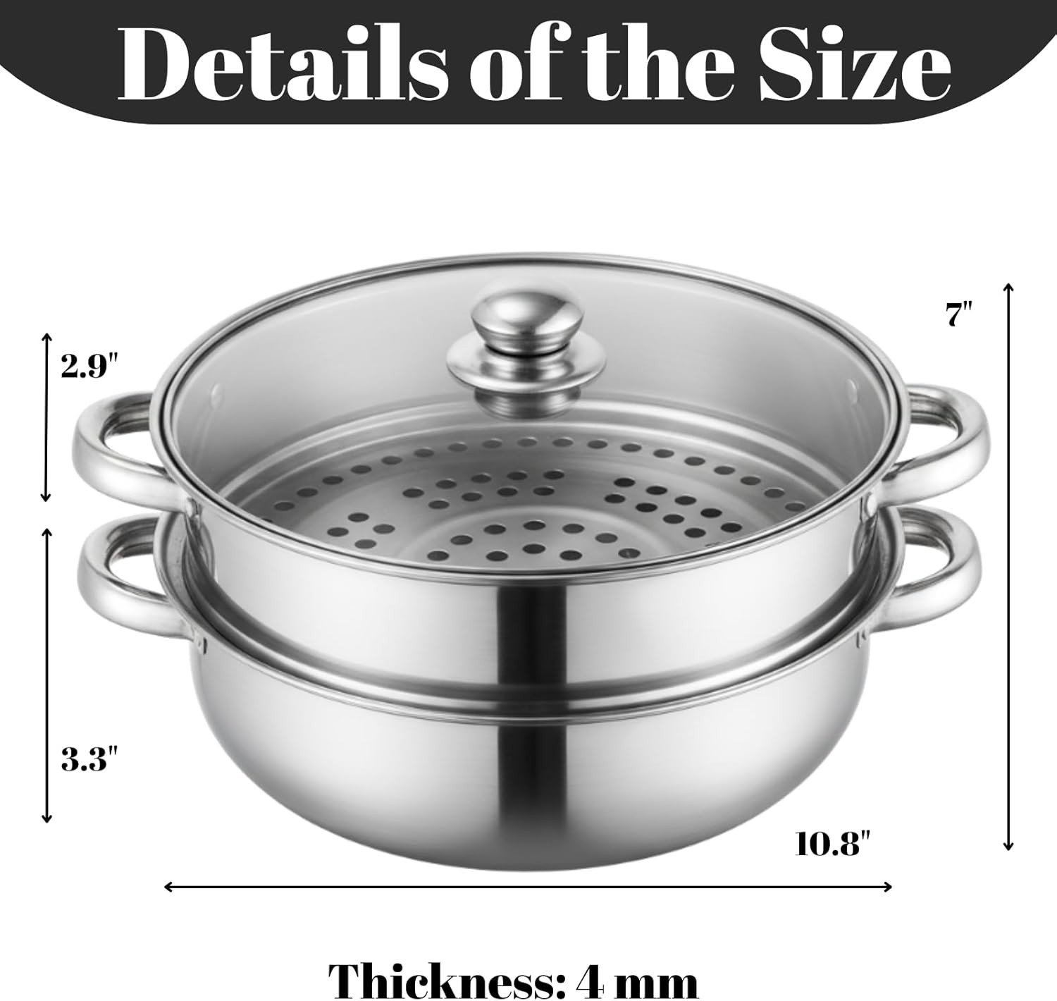 Steamer Pot With Lid 2 Tier, Multipurpose Stainless Steel Steaming Pot, Steam…
